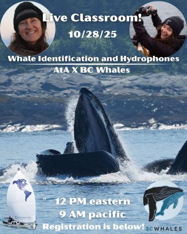 Live Classroom coming up on October 28!!