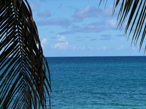 Thank you Saint Croix!