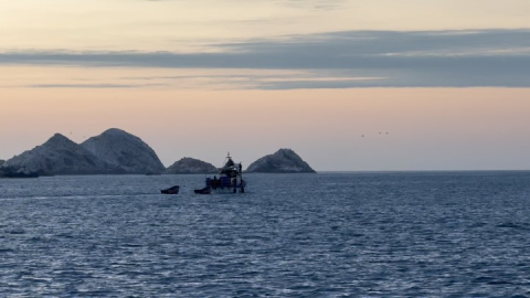 Marine Protected Areas like Islas Lobos De Afuera provide sanctuaries for marine life t…