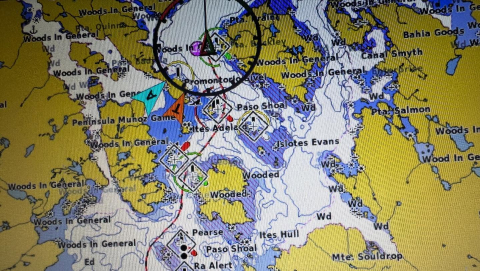 In the Strait of Magellan today!