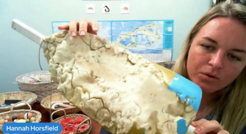 Go watch our Marine Plastic Pollution class on @ebtsoyp with @bueibermuda !