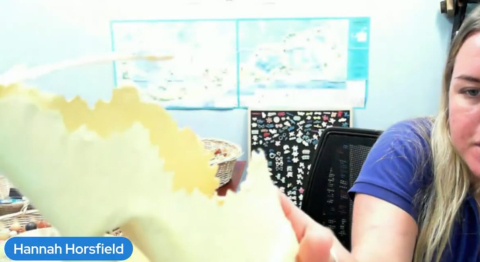 Go watch our Marine Plastic Pollution class on @ebtsoyp with @bueibermuda !