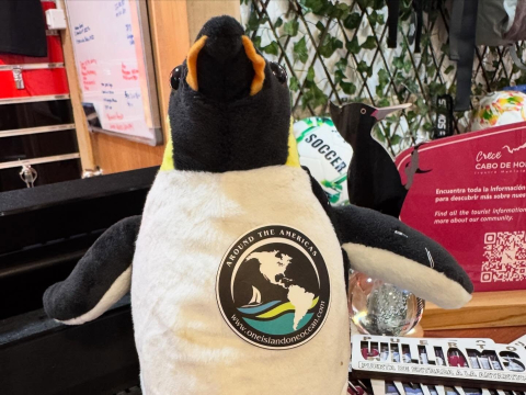 Thank you, Puerto Williams!
