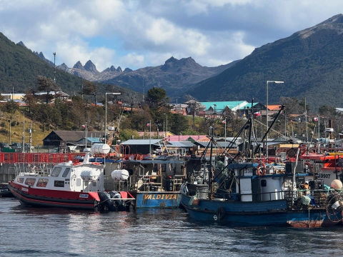 Thank you, Puerto Williams!