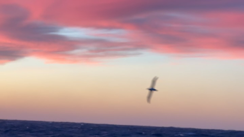 After about 5.5 days at sea, the Around the Americas crew made it to Concón at about 3…