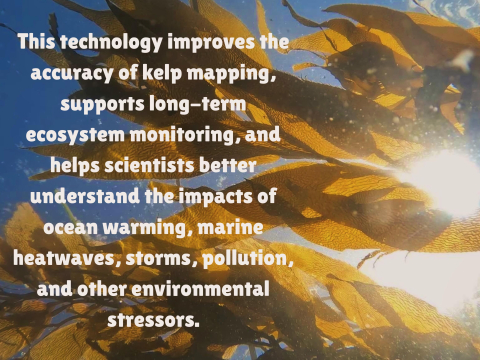 The Around the Americas expedition is conducting a pole-to-pole kelp study focused on g…