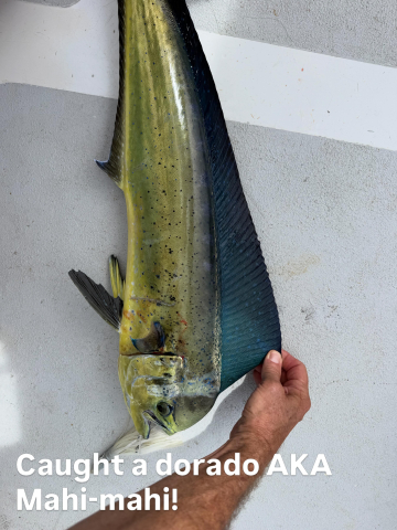Mahi-mahi (AKA dorado) for dinner!!!