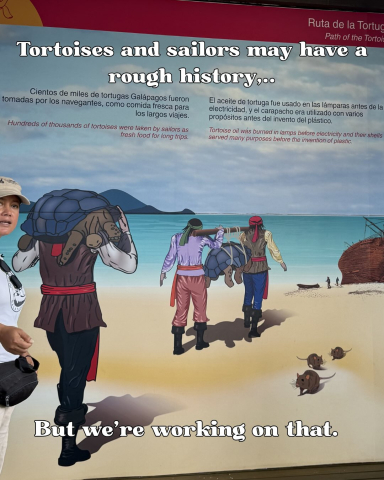 Ten Tortoise Facts in honor of the Galápagos Giant Tortoises!