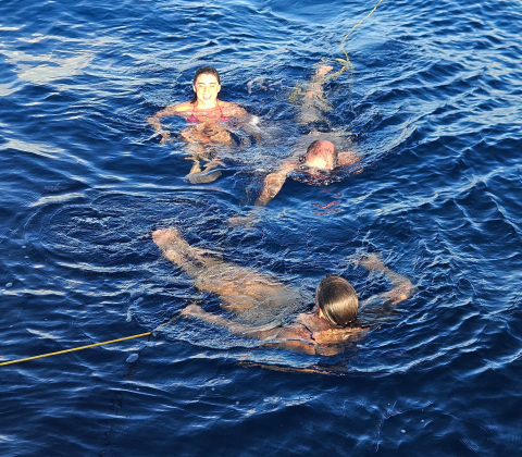 Swimming in the Pacific 🌊 Yesterday, flat calm seas permitted a moment for us to stop t…