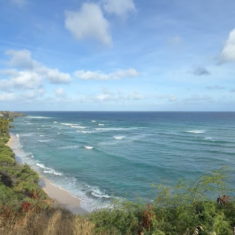 Here in Honolulu, we had the opportunity to meet Anthony, the creator of our incredible…