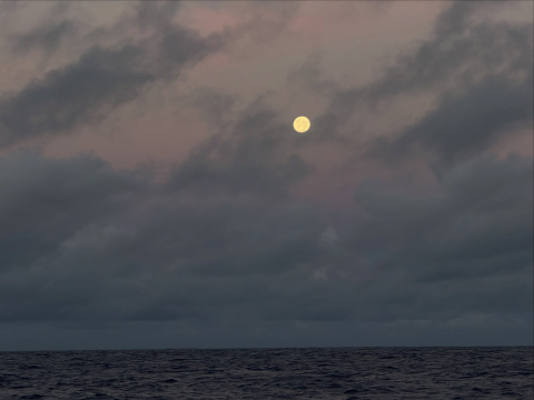 After 28 days and over 3900 nautical miles, the Around the Americas crew made it to Hil…