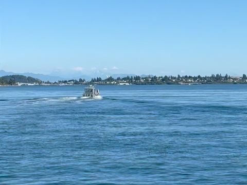 August 11, 2026: One Ocean Arrives Home!