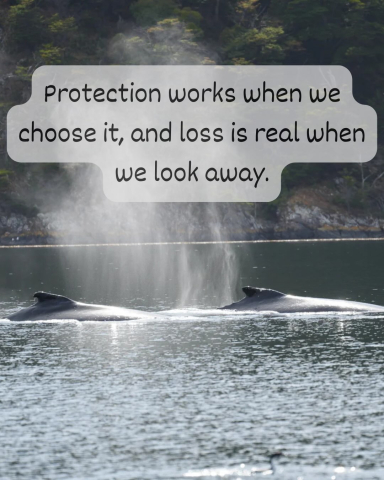 Our lead onboard scientist, Grace Dalton, just posted a MUST READ blog, presenting a po…
