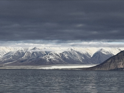 Air and sea temperatures are on the rise much faster in the Arctic more than anywhere e…