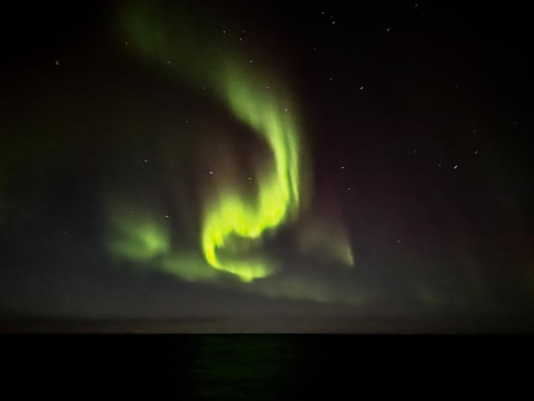 Sailing down the Davis Strait one year ago today, the One Ocean crew found ourselves in…
