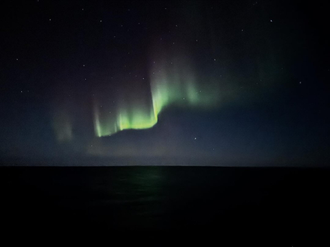 Sailing down the Davis Strait one year ago today, the One Ocean crew found ourselves in…
