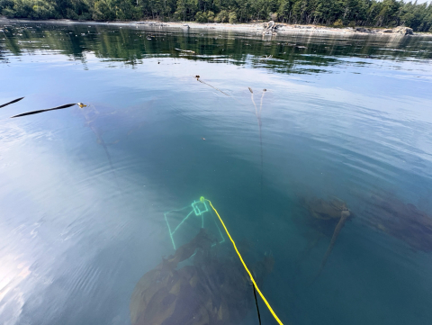 Last weekend, the Around the Americas crew took back to the waters here in the PNW and…