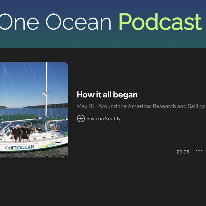 Podcast Episode 1: How it All Began