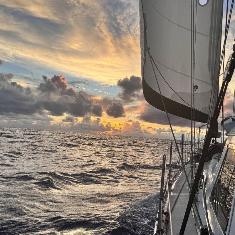 One Ocean