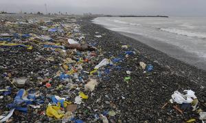 Trash Shoreline 1