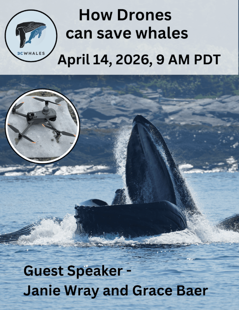Live Event - How Drones Can Save Whales